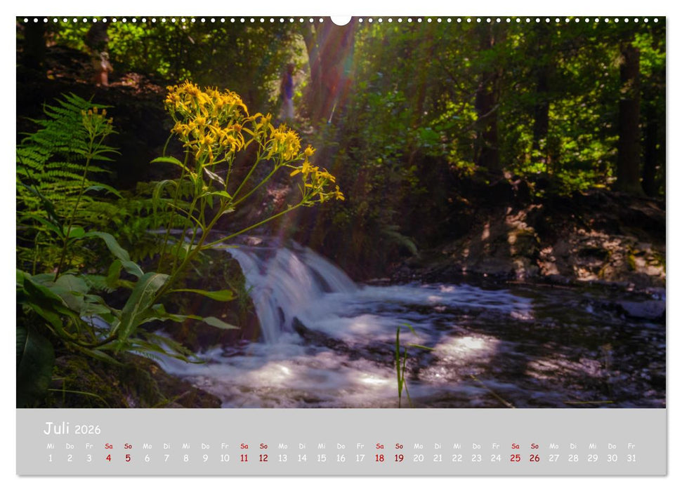 Harzer Impressionen - Natur, Kultur und Geschichte (CALVENDO Premium Wandkalender 2026)