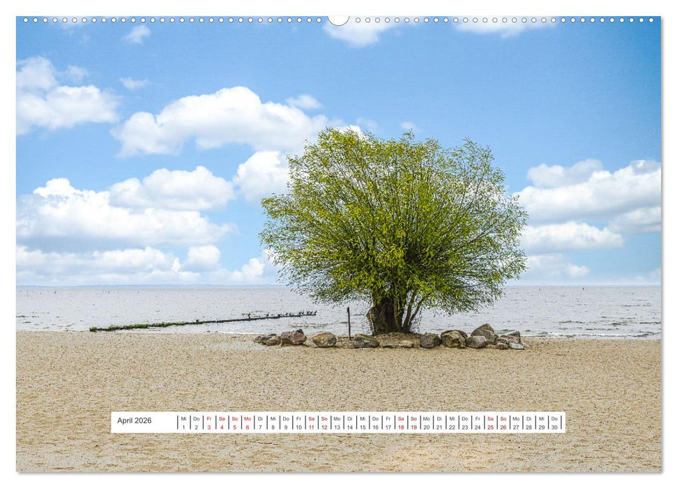 Region Ueckermünde (CALVENDO Premium Wandkalender 2026)