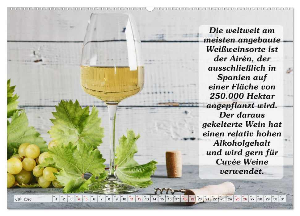 Wissenswertes über Wein (CALVENDO Premium Wandkalender 2026)