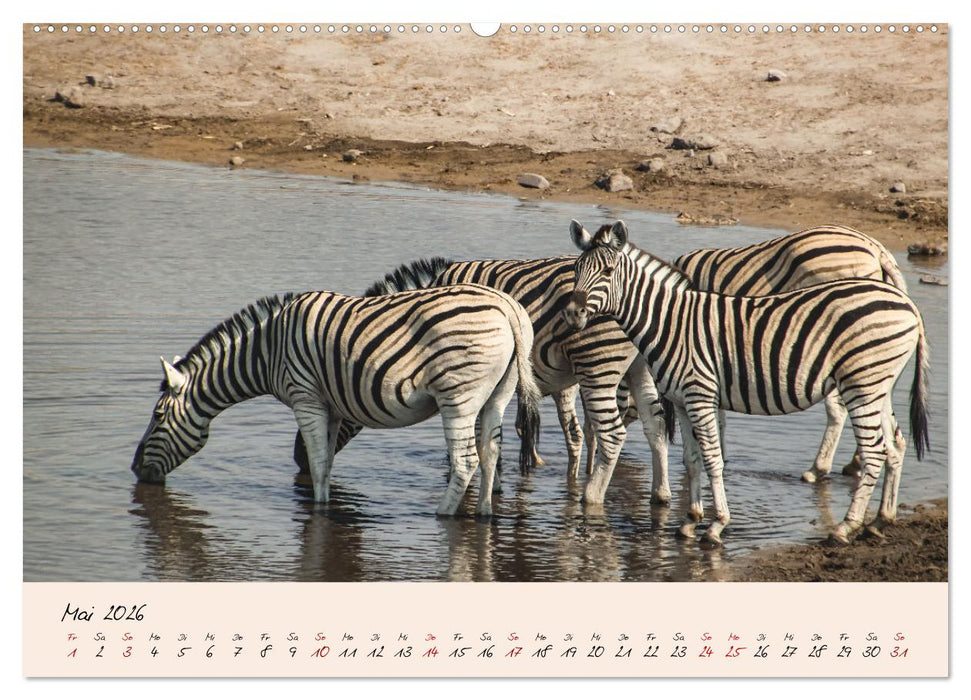 Namibia - Vom Sossusvlei bis zum Etosha Nationalpark (CALVENDO Premium Wandkalender 2026)