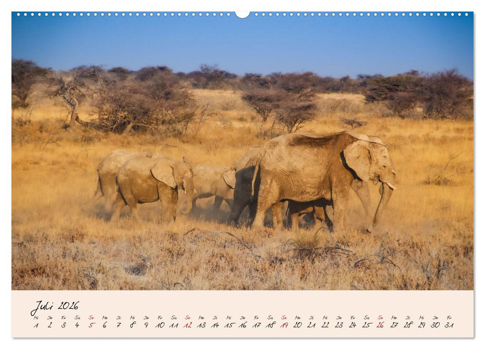 Namibia - Vom Sossusvlei bis zum Etosha Nationalpark (CALVENDO Premium Wandkalender 2026)