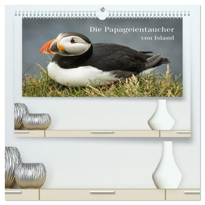 Die Papageientaucher von Island (CALVENDO Premium Wandkalender 2026)