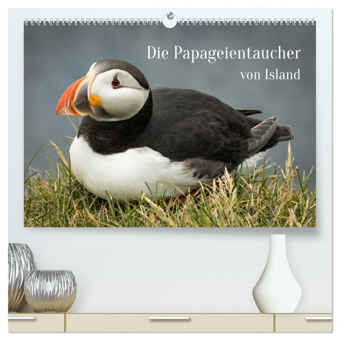 Die Papageientaucher von Island (CALVENDO Premium Wandkalender 2026)