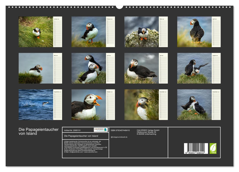 Die Papageientaucher von Island (CALVENDO Premium Wandkalender 2026)