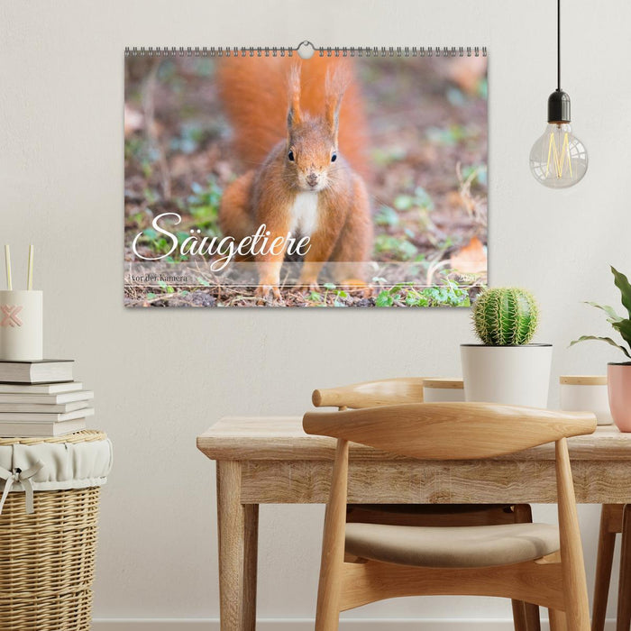Säugetiere vor der Kamera (CALVENDO Wandkalender 2026)