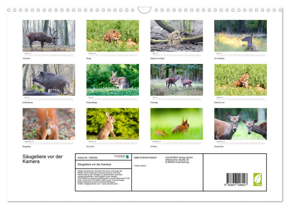 Säugetiere vor der Kamera (CALVENDO Wandkalender 2026)
