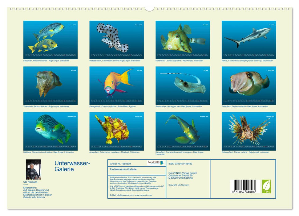 Unterwasser-Galerie (CALVENDO Premium Wandkalender 2026)