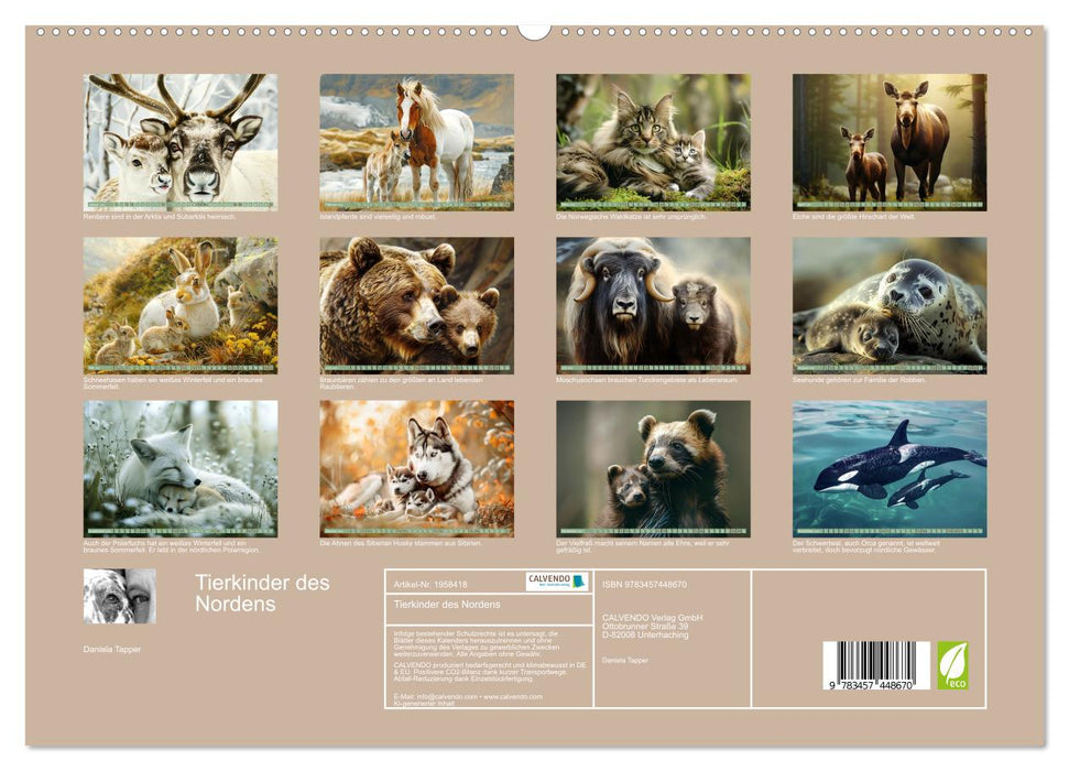 Tierkinder des Nordens (CALVENDO Premium Wandkalender 2026)
