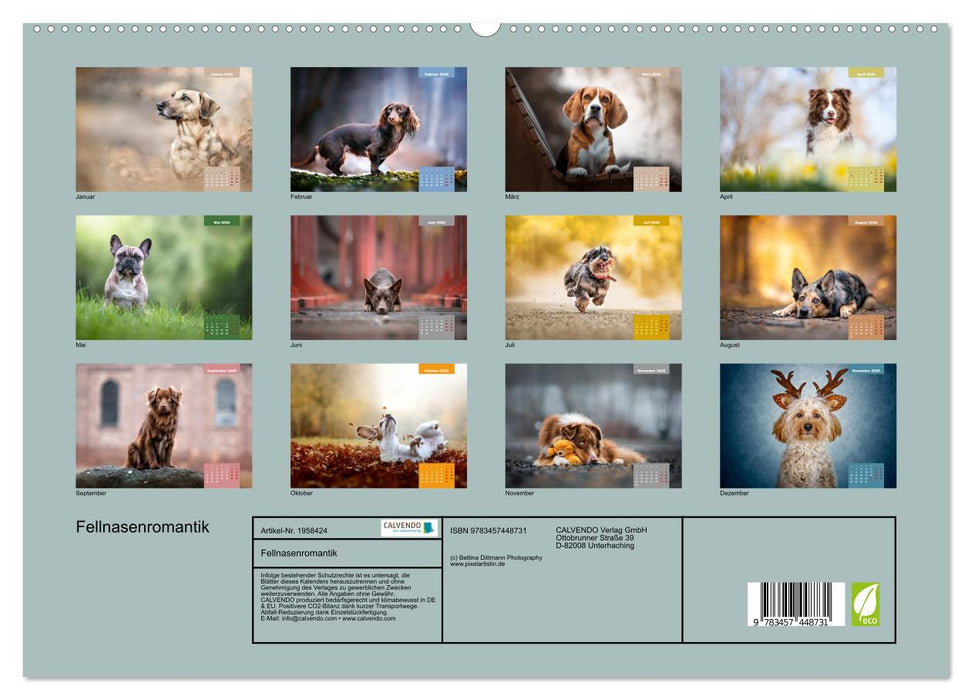 Fellnasenromantik (CALVENDO Premium Wandkalender 2026)