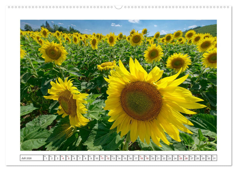 Bulgarien. Berge und Meer. (CALVENDO Premium Wandkalender 2026)