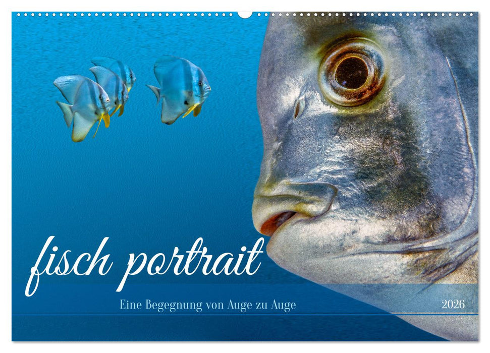 fisch portrait (CALVENDO Wandkalender 2026)