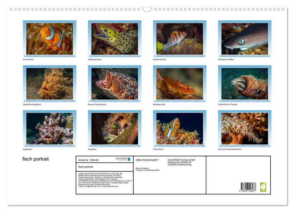 fisch portrait (CALVENDO Wandkalender 2026)