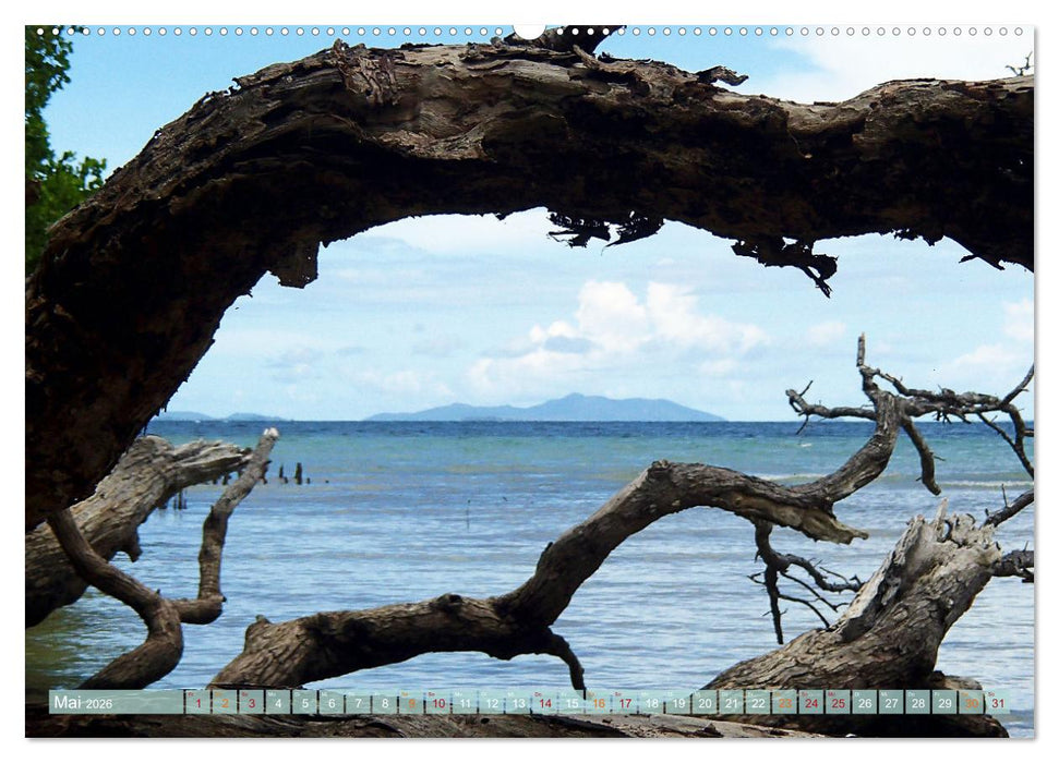 Raja Ampat - Impressionen (CALVENDO Premium Wandkalender 2026)