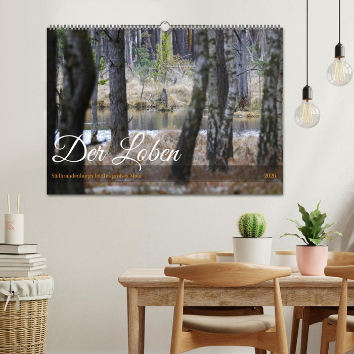 Der Loben. Im Reich der Moorgeister und Kreuzottern- Südbrandenburgs letztes großes Moor (CALVENDO Wandkalender 2026)