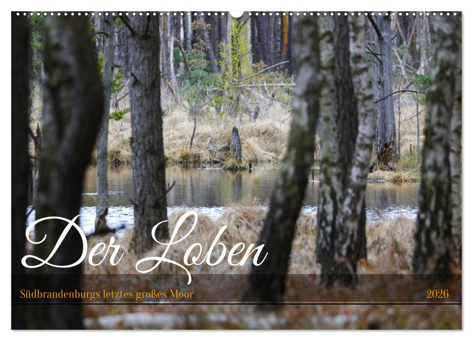 Der Loben. Im Reich der Moorgeister und Kreuzottern- Südbrandenburgs letztes großes Moor (CALVENDO Wandkalender 2026)