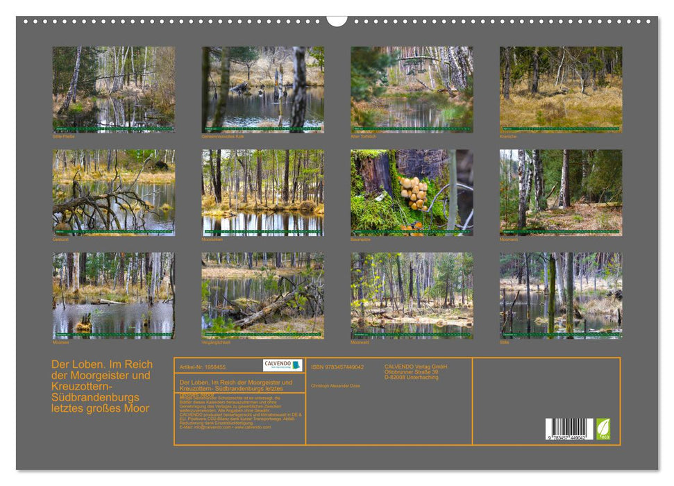 Der Loben. Im Reich der Moorgeister und Kreuzottern- Südbrandenburgs letztes großes Moor (CALVENDO Wandkalender 2026)