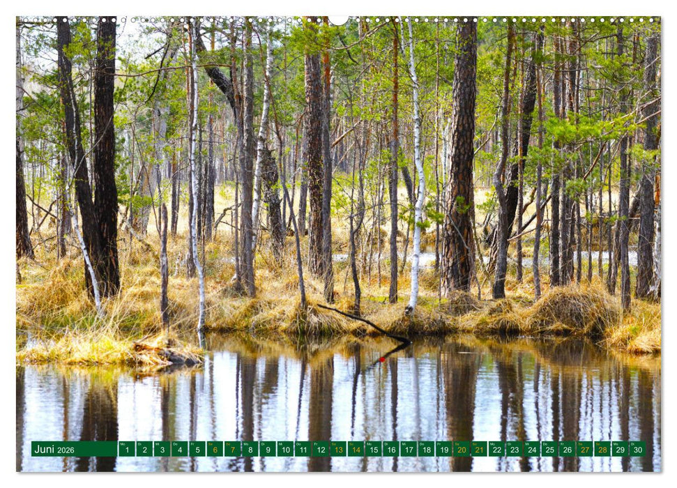 Der Loben. Im Reich der Moorgeister und Kreuzottern- Südbrandenburgs letztes großes Moor (CALVENDO Wandkalender 2026)