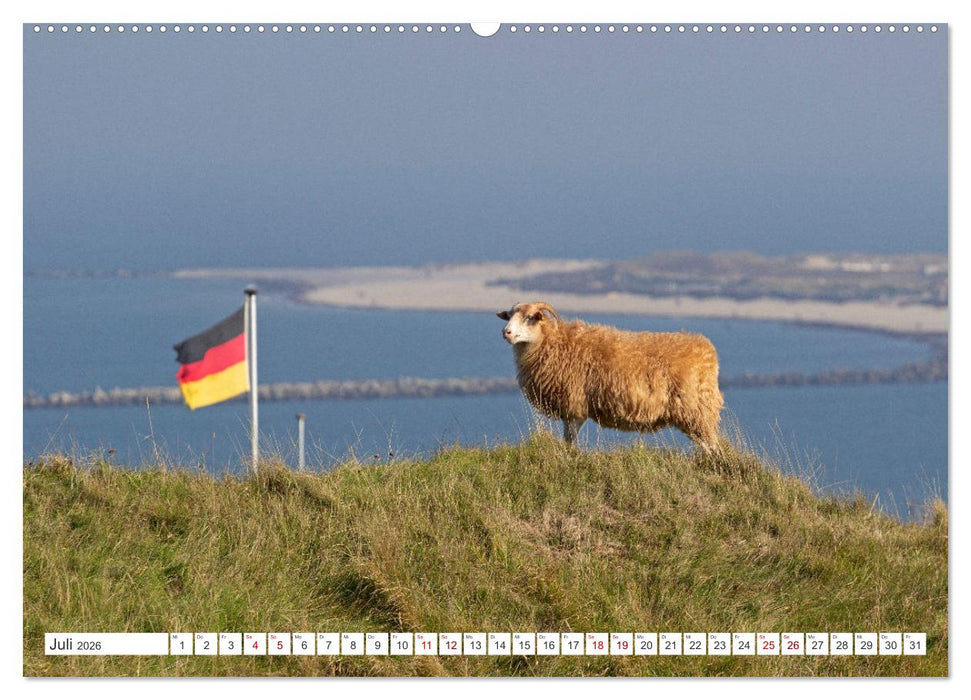 Helgoland - Hochseeinsel in der Nordsee (CALVENDO Premium Wandkalender 2026)