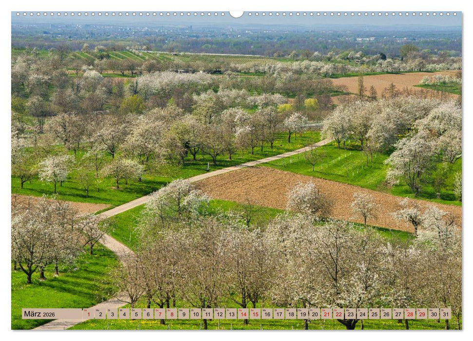 Ortenau - die badische Toskana (CALVENDO Premium Wandkalender 2026)