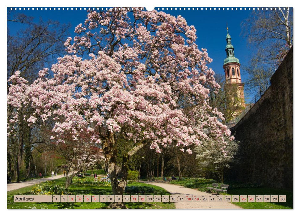 Ortenau - die badische Toskana (CALVENDO Premium Wandkalender 2026)