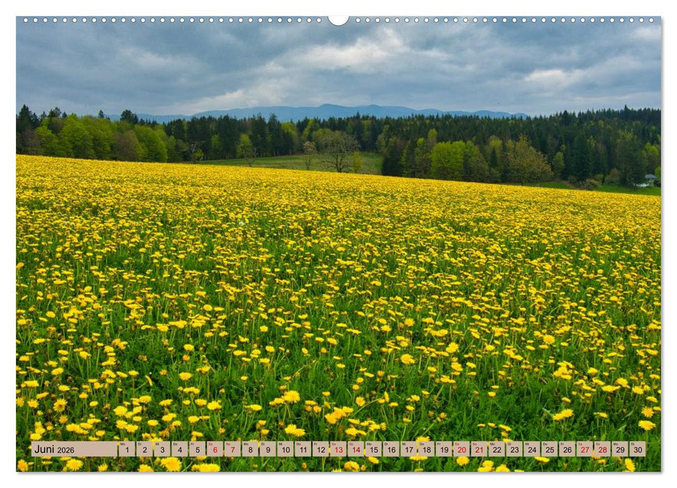 Ortenau - die badische Toskana (CALVENDO Premium Wandkalender 2026)