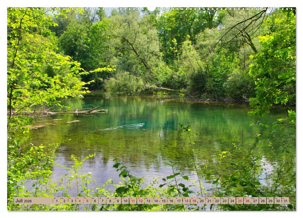 Ortenau - die badische Toskana (CALVENDO Premium Wandkalender 2026)