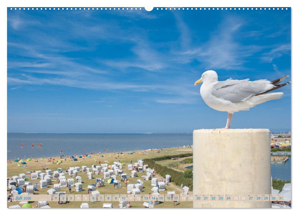 Mein Land, Ostfriesland (CALVENDO Premium Wandkalender 2026)