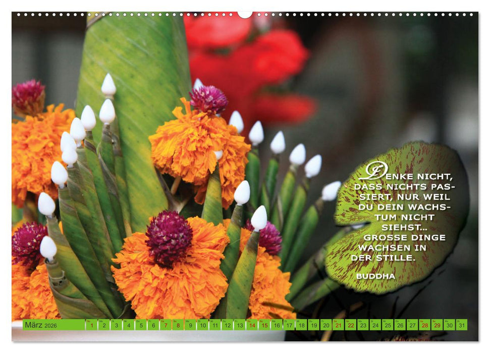 Buddhas Worte - Der Weg zur Achtsamkeit (CALVENDO Wandkalender 2026)