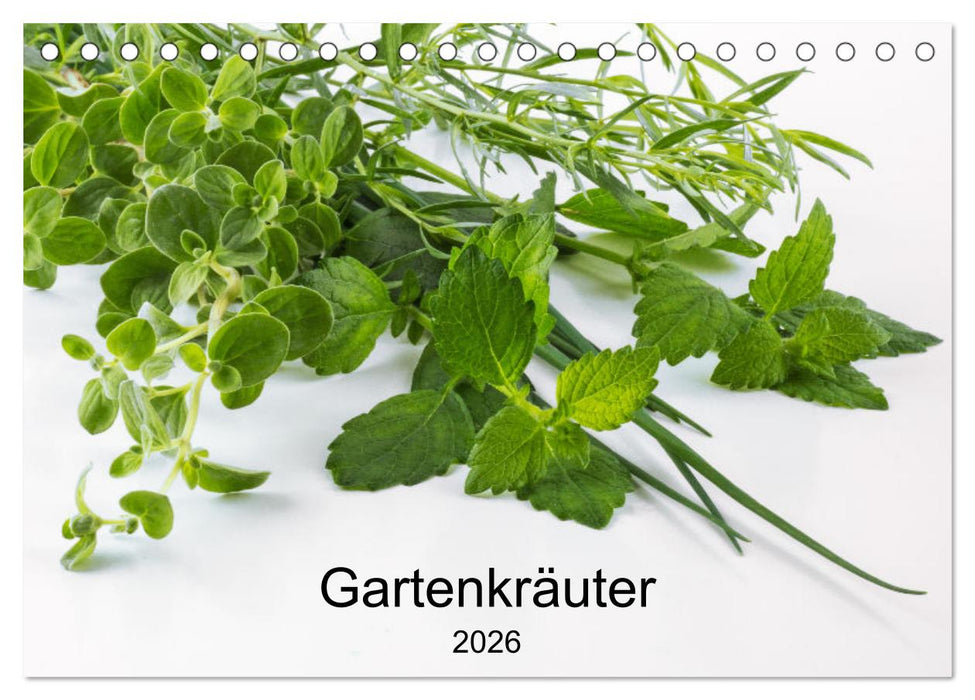 Gartenkräuter (CALVENDO Wandkalender 2026)