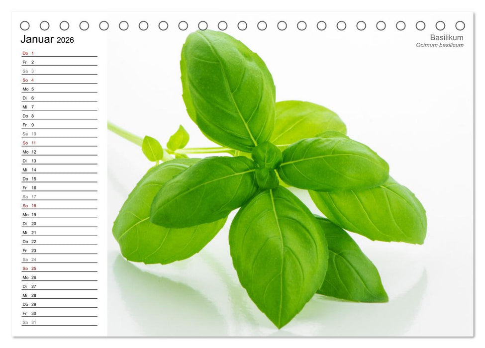 Gartenkräuter (CALVENDO Wandkalender 2026)