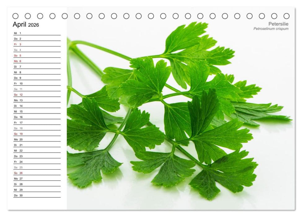 Gartenkräuter (CALVENDO Wandkalender 2026)