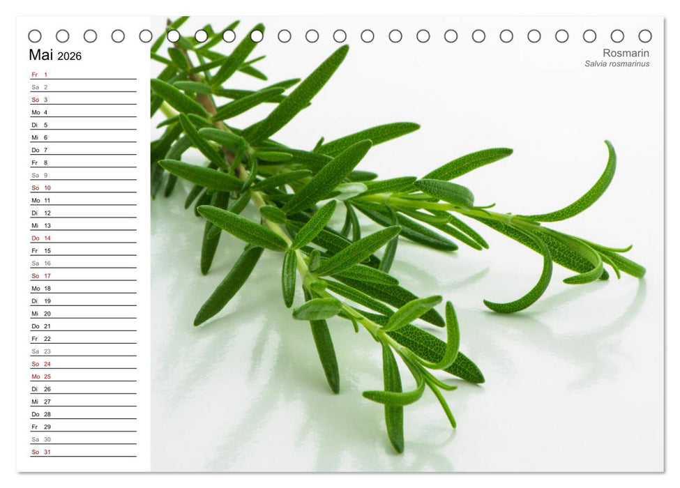 Gartenkräuter (CALVENDO Wandkalender 2026)