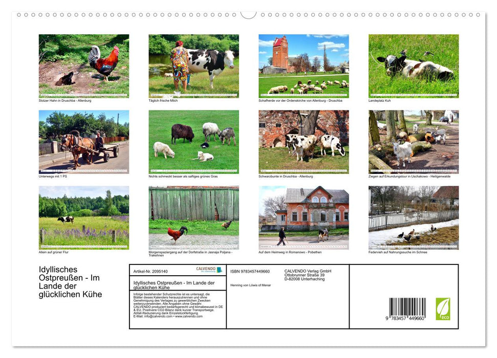Idyllisches Ostpreußen - Im Lande der glücklichen Kühe (CALVENDO Premium Wandkalender 2026)