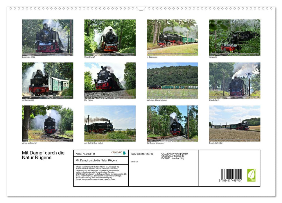 Mit Dampf durch die Natur Rügens (CALVENDO Premium Wandkalender 2026)