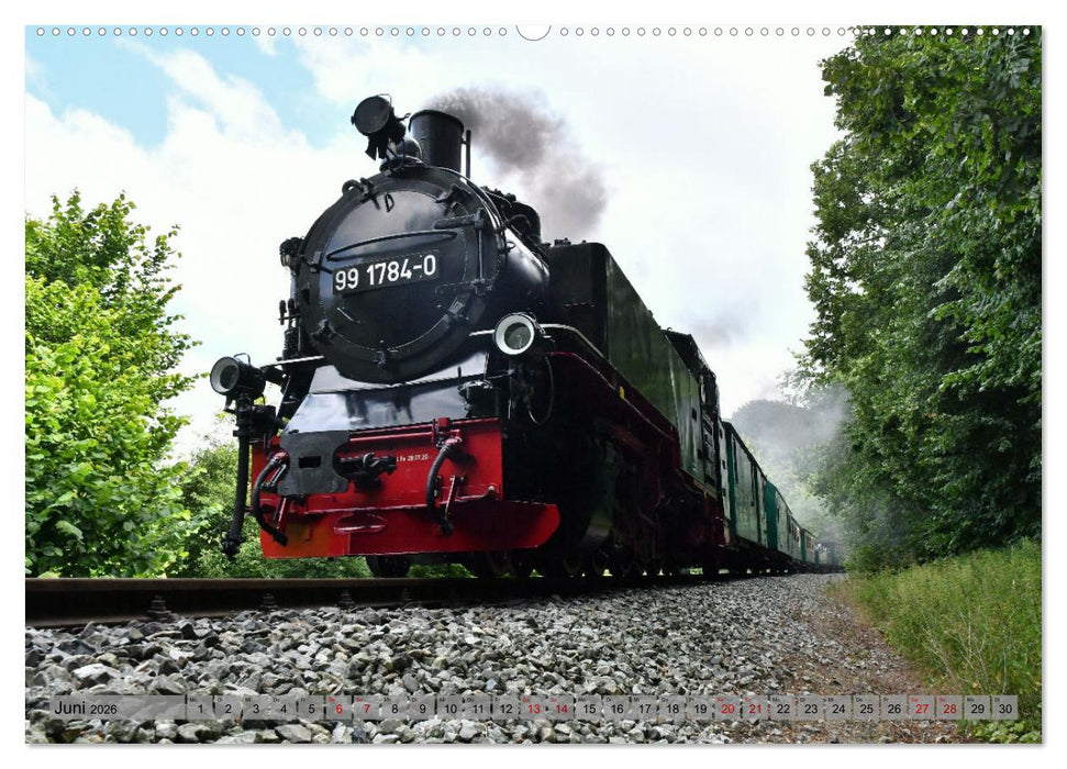 Mit Dampf durch die Natur Rügens (CALVENDO Premium Wandkalender 2026)