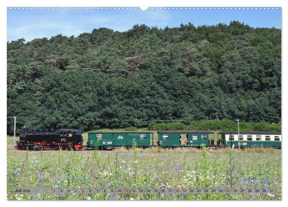Mit Dampf durch die Natur Rügens (CALVENDO Premium Wandkalender 2026)