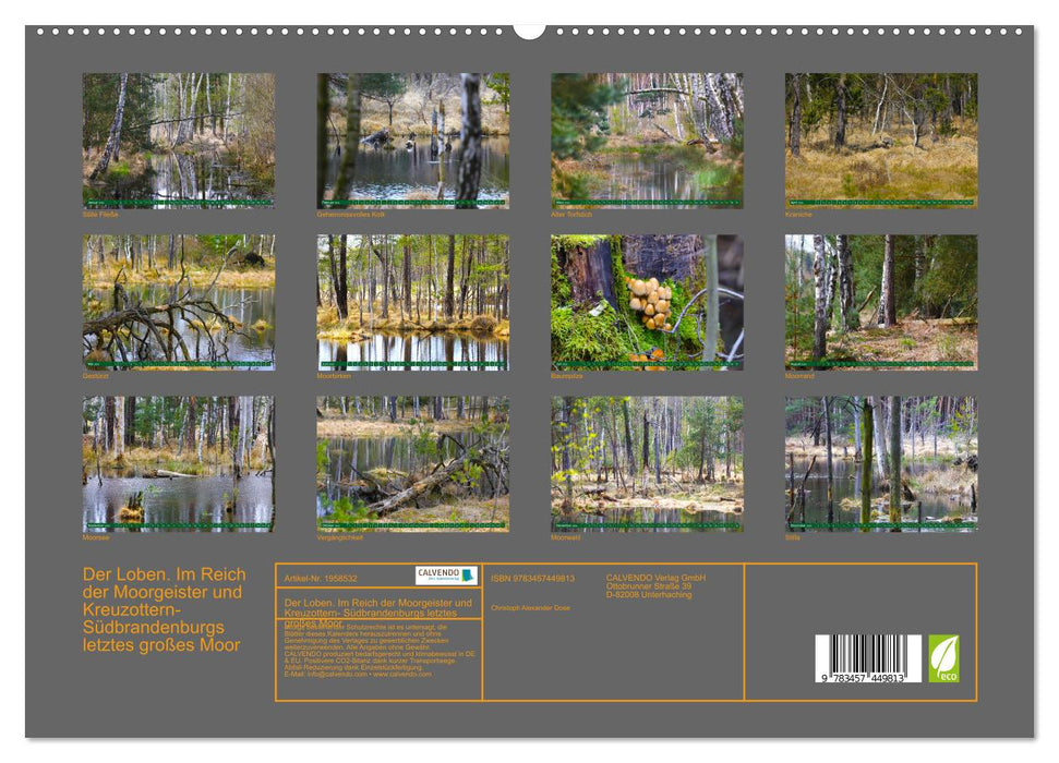 Der Loben. Im Reich der Moorgeister und Kreuzottern- Südbrandenburgs letztes großes Moor (CALVENDO Premium Wandkalender 2026)