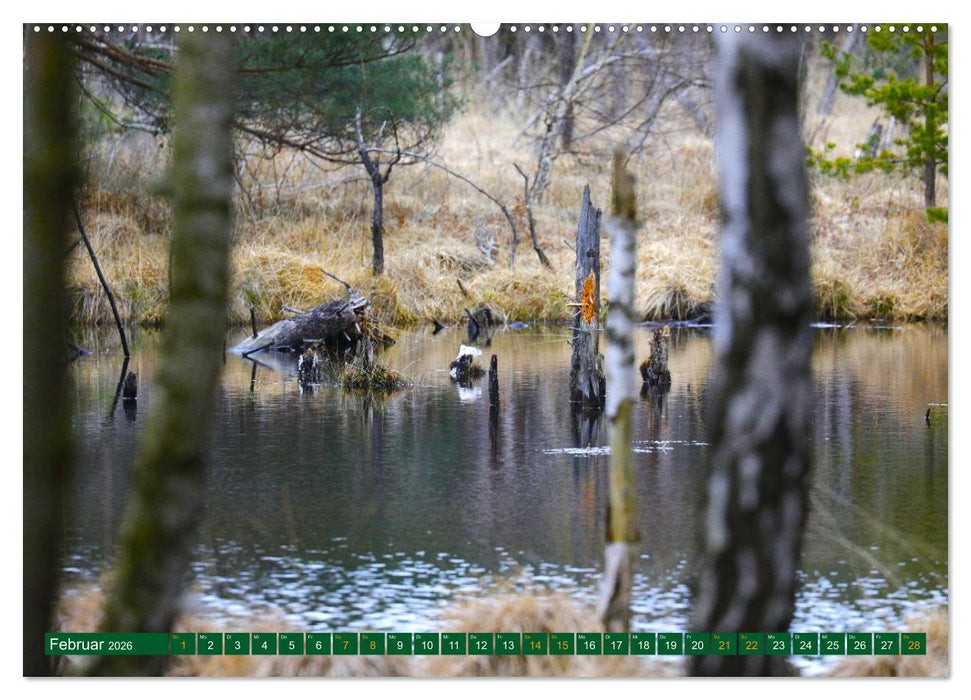Der Loben. Im Reich der Moorgeister und Kreuzottern- Südbrandenburgs letztes großes Moor (CALVENDO Premium Wandkalender 2026)