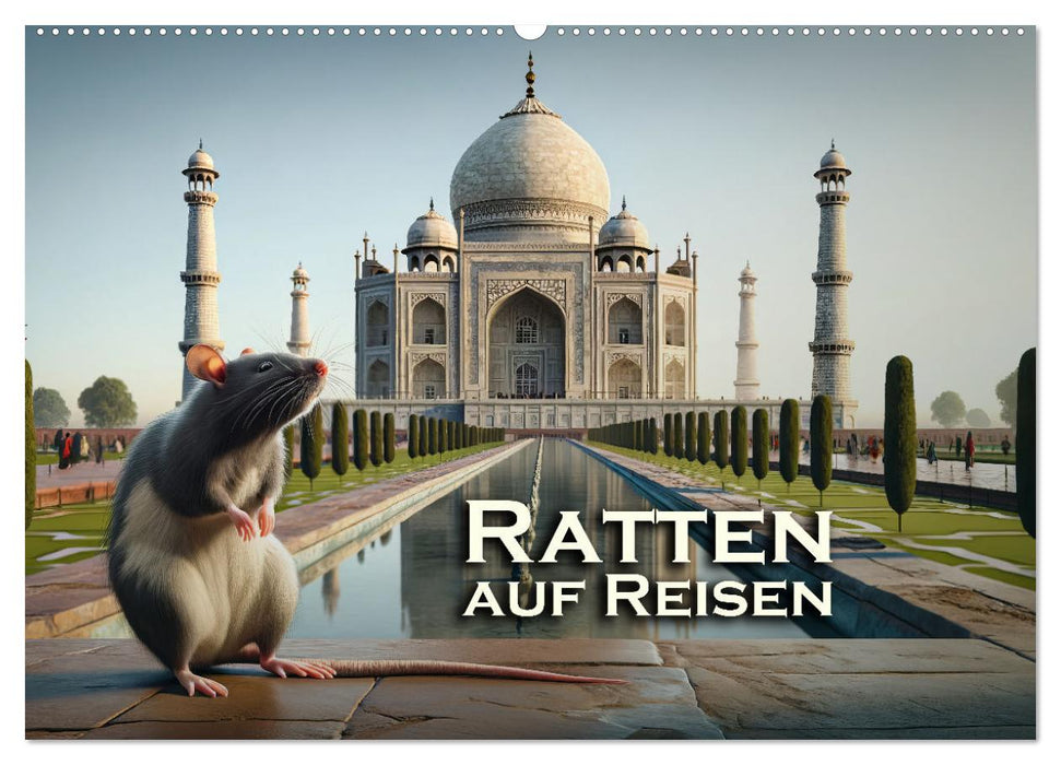 Ratten auf Reisen (CALVENDO Wandkalender 2026)