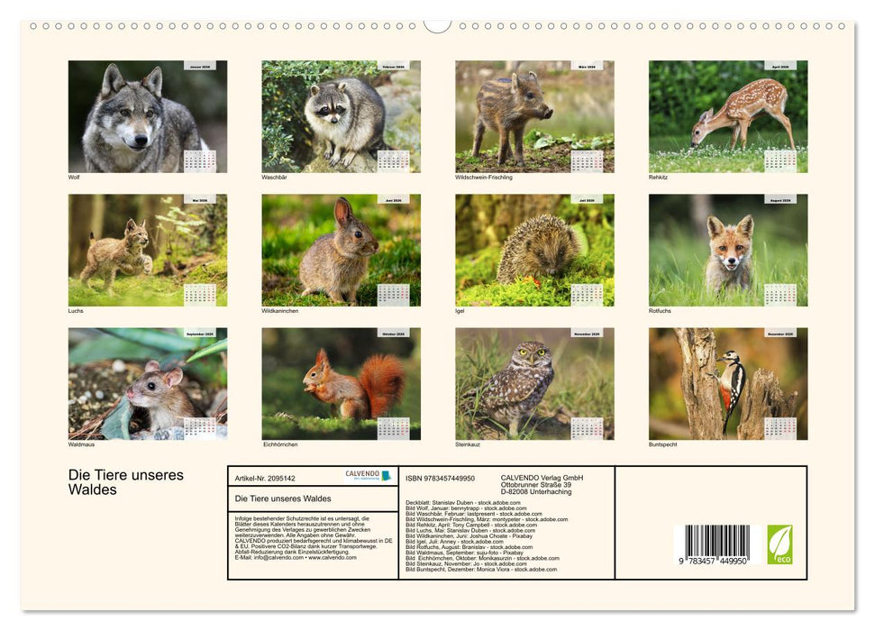 Die Tiere unseres Waldes (CALVENDO Premium Wandkalender 2026)