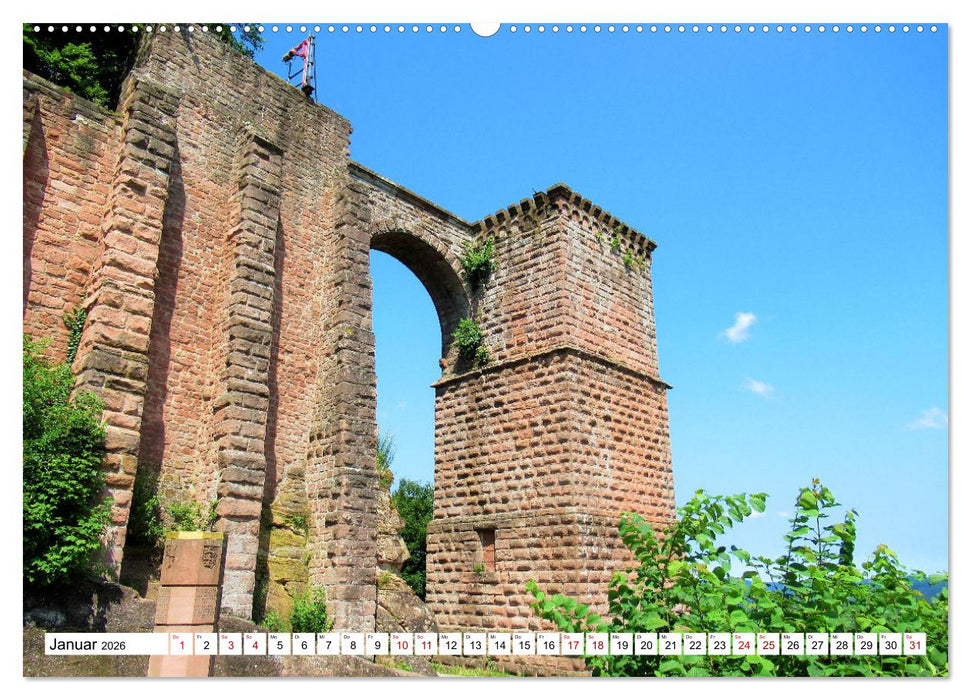 Südliche Weinstraße und Südwestpfalz (CALVENDO Premium Wandkalender 2026)