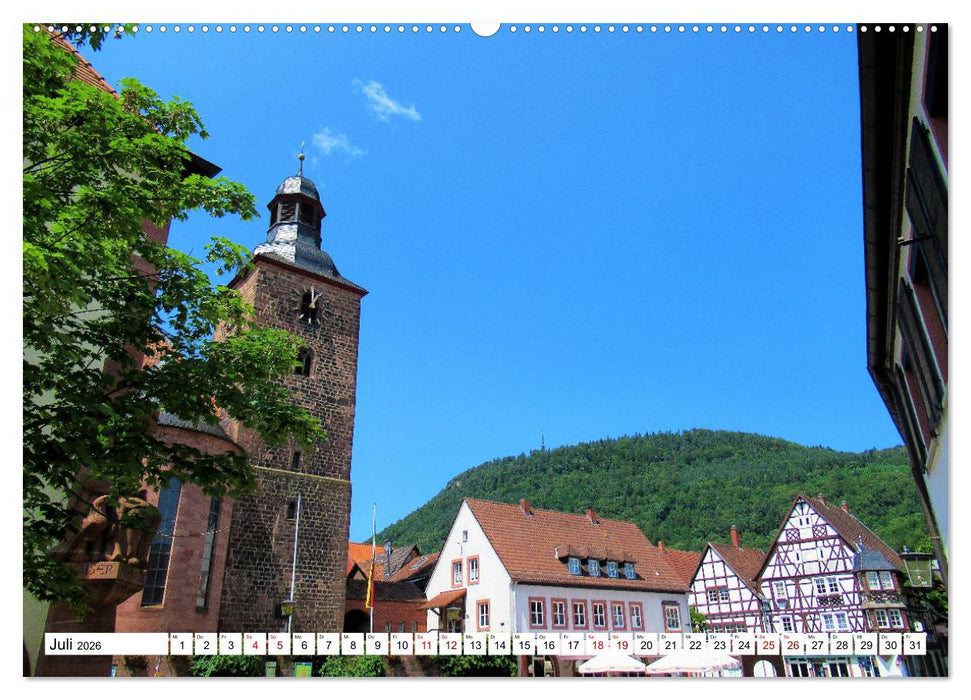 Südliche Weinstraße und Südwestpfalz (CALVENDO Premium Wandkalender 2026)