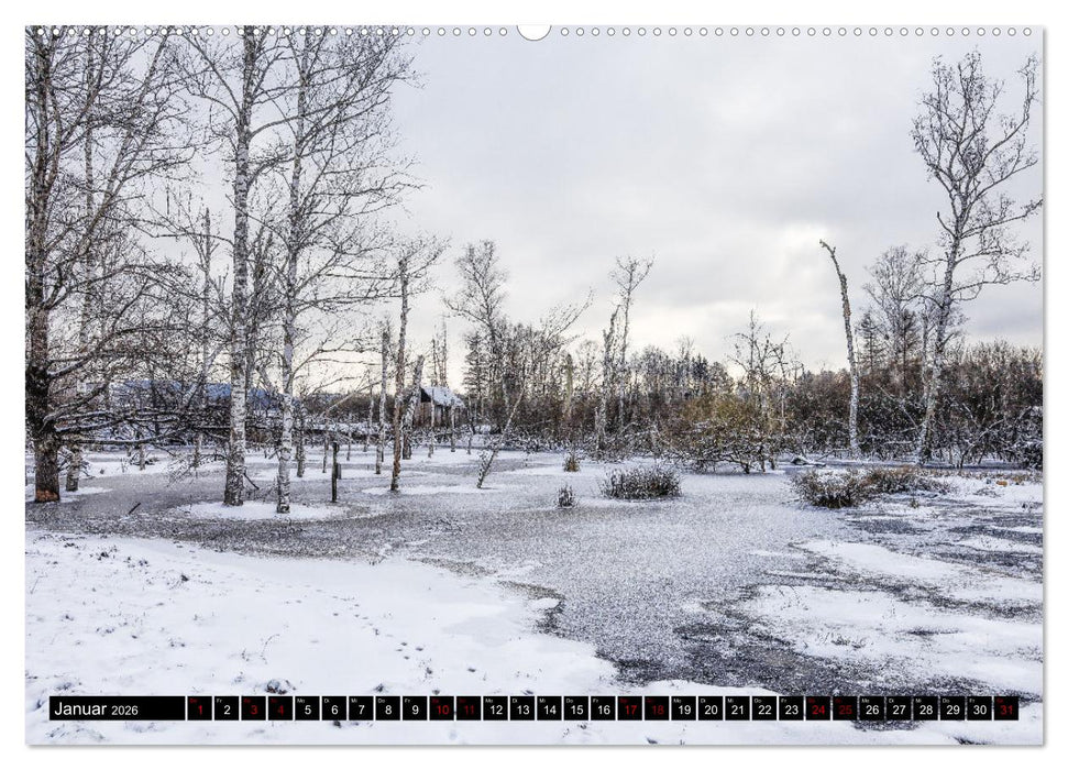 Pfrunger-Burgweiler Ried und Federsee (CALVENDO Premium Wandkalender 2026)