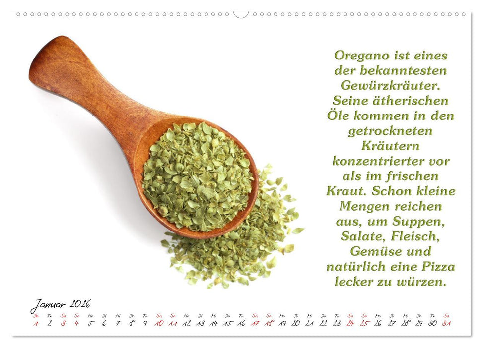Gewürze: Gesund & Lecker (CALVENDO Premium Wandkalender 2026)