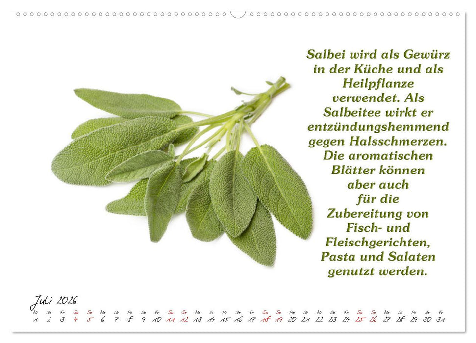 Gewürze: Gesund & Lecker (CALVENDO Premium Wandkalender 2026)