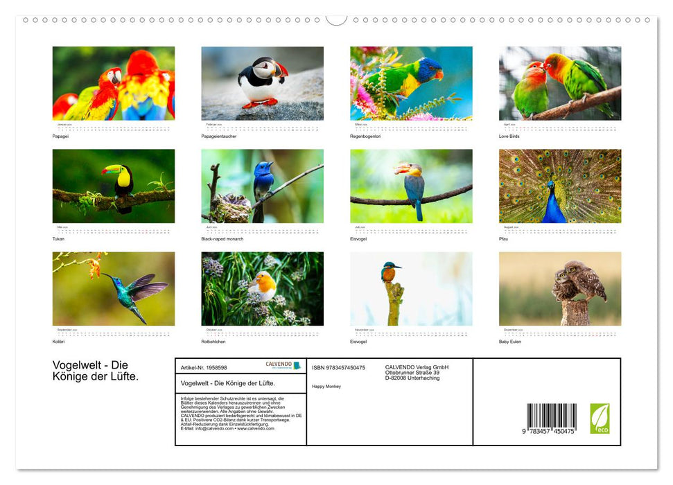 Vogelwelt - Die Könige der Lüfte. (CALVENDO Premium Wandkalender 2026)