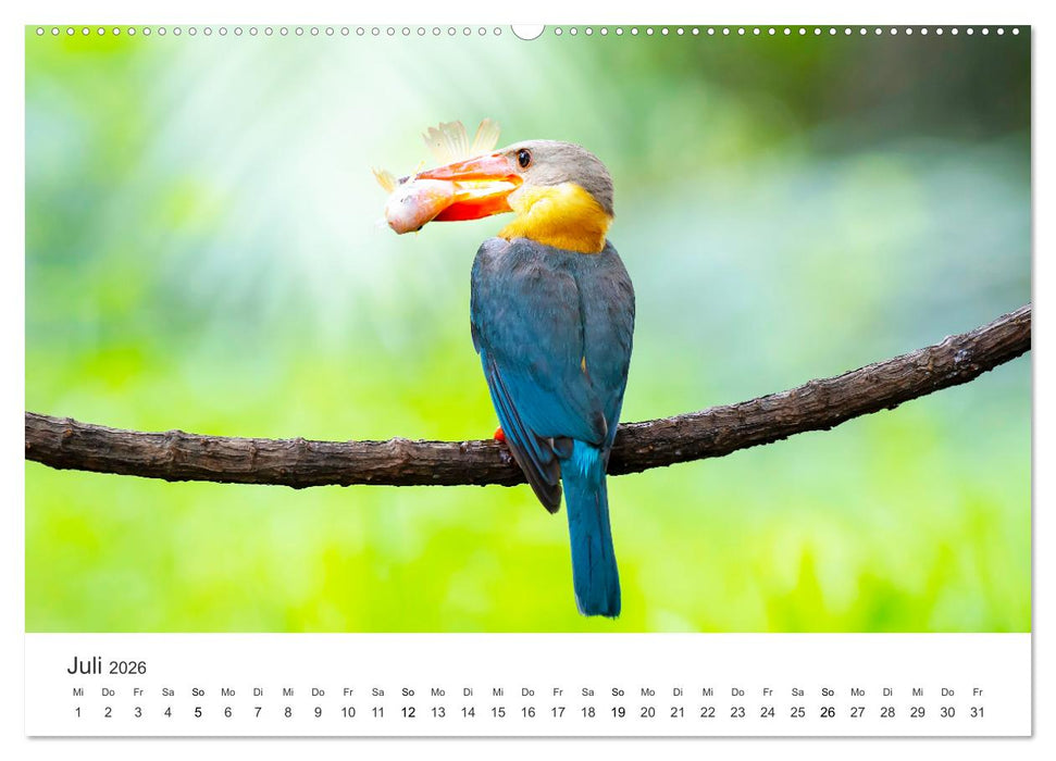 Vogelwelt - Die Könige der Lüfte. (CALVENDO Premium Wandkalender 2026)