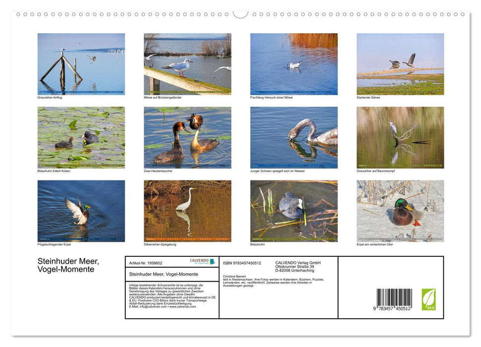 Steinhuder Meer, Vogel-Momente (CALVENDO Premium Wandkalender 2026)