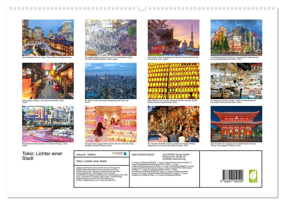 Tokio: Lichter einer Stadt (CALVENDO Premium Wandkalender 2026)