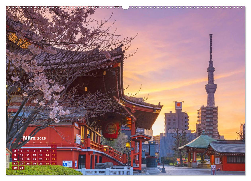 Tokio: Lichter einer Stadt (CALVENDO Premium Wandkalender 2026)